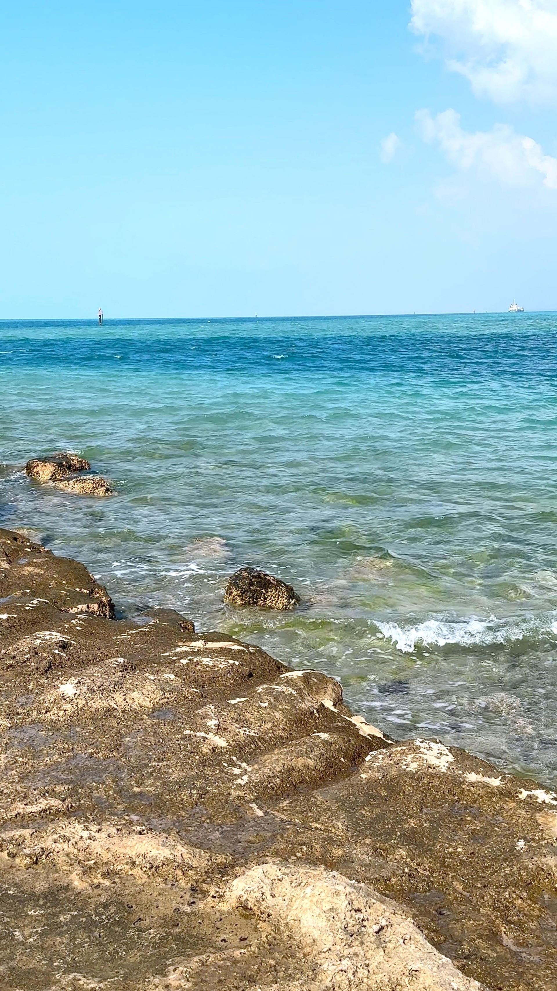 Ocean water shifts colors, marking transitions, connecting ecosystems, preserving marine life, circulating energy, guiding species through ocean ecosystem, ensuring stability in ocean ecosystem.
